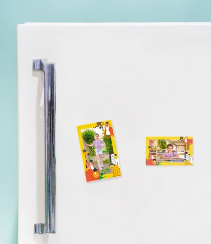 FRIDGEMG010B