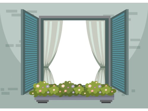 WINDOW